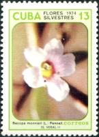 (1974-071) Марка Куба "Бакопа Монье"    Полевые цветы II Θ